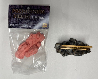 PS Nameplate Holder #2 - Permian Desert