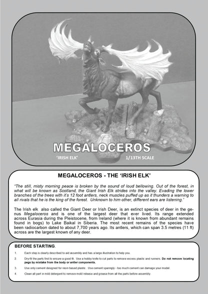 Megaloceros (Irish Elk)