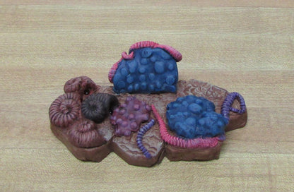 PS Nameplate Holder #1 - The Silurian Seas
